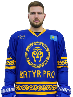 Вороненко Дмитрий Игоревич