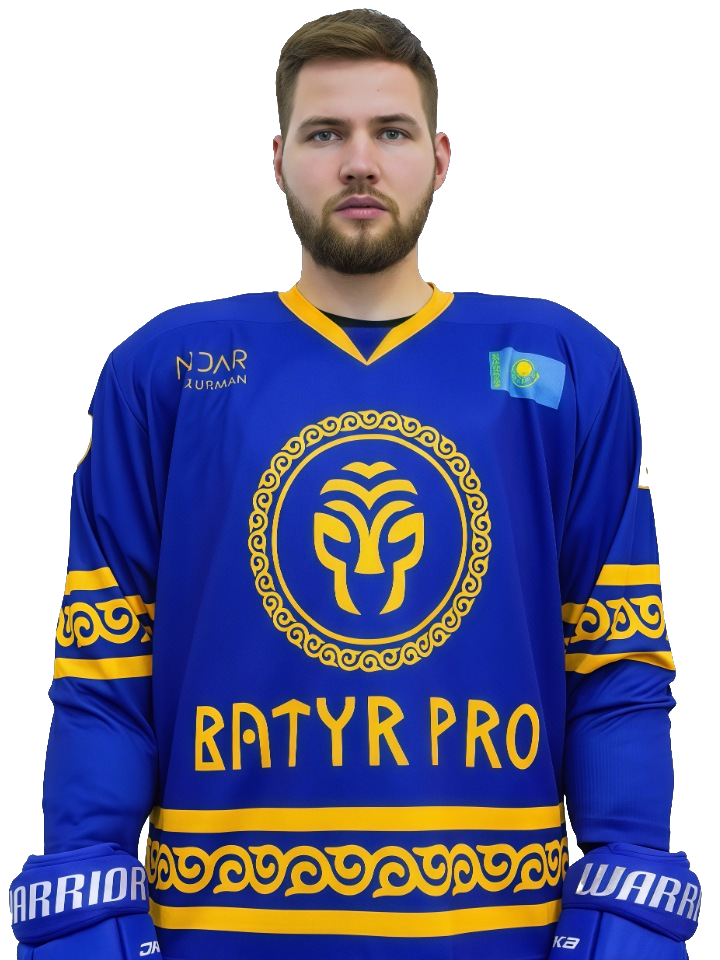 Вороненко Дмитрий Игоревич