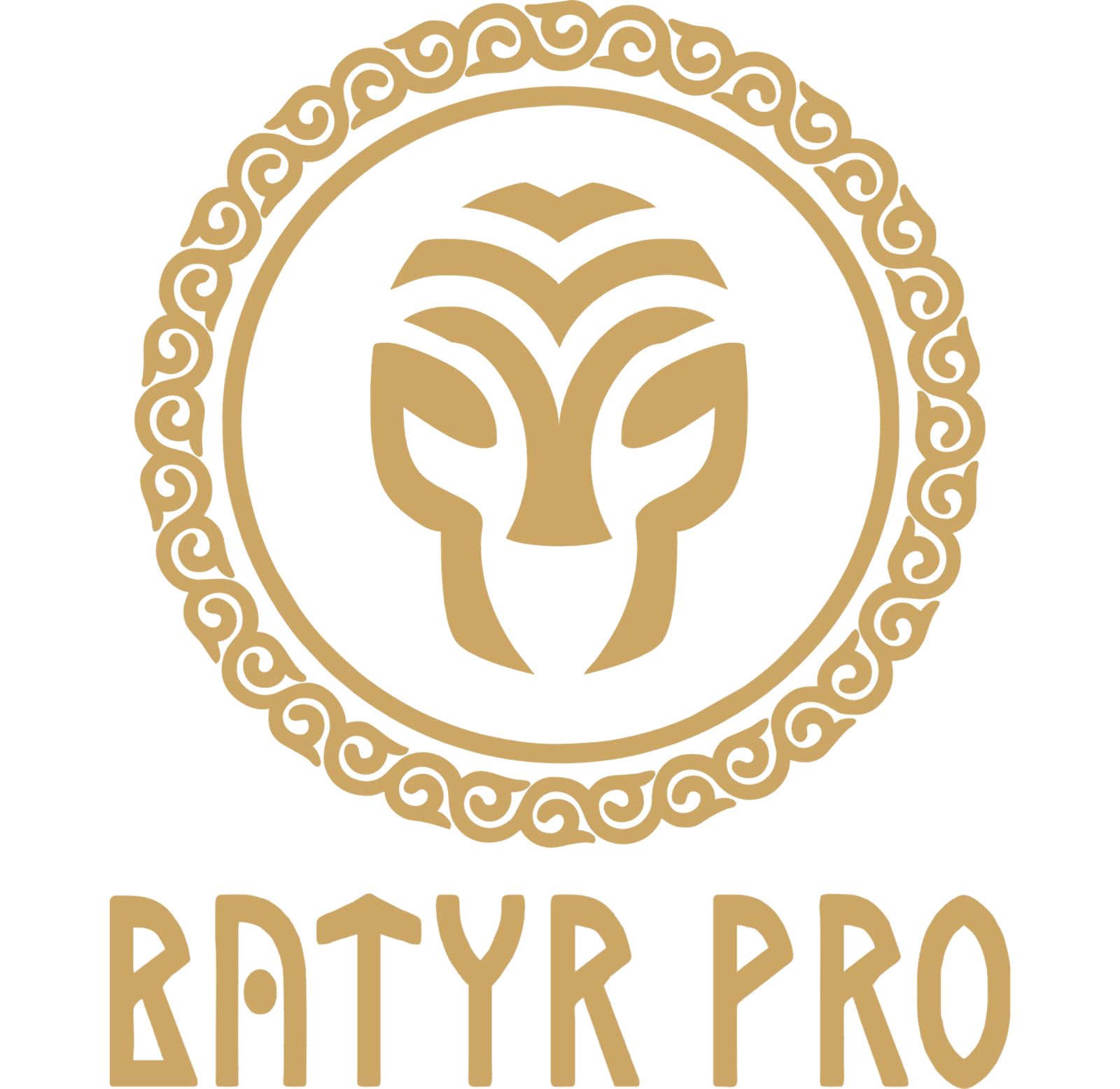 BATYR PRO