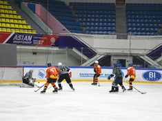 Разгромный счет «Волки» - «Tigers»