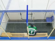 «Волки» - «Родина» 1:3. Сезон АЛХЛ 2017-2018