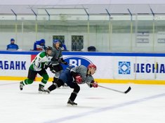 «Волки» - «Родина» 1:3. Сезон АЛХЛ 2017-2018