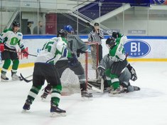 «Волки» - «Родина» 1:3. Сезон АЛХЛ 2017-2018