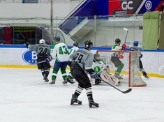 «Волки» - «Родина» 1:3. Сезон АЛХЛ 2017-2018