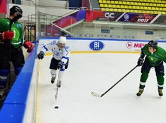 «Родина» - «BI Group-2» 6:1. Сезон АЛХЛ 2017-2018