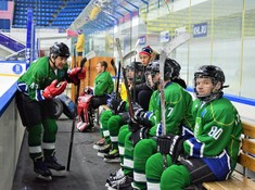 «Родина» - «BI Group-2» 6:1. Сезон АЛХЛ 2017-2018
