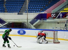 «Родина» - «Сункар» 7:0 . Сезон АЛХЛ 2017-2018