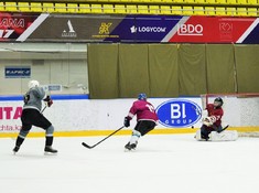 «СССР» - «Волки» 1:3 . Сезон АЛХЛ 2017-2018
