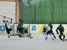 «BI Group» - «Родина» 5:3. Сезон АЛХЛ 2017-2018