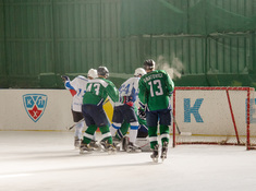 «BI Group» - «Родина» 5:3. Сезон АЛХЛ 2017-2018