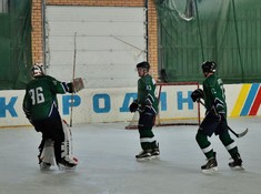 «BI Group» - «Родина» 5:3. Сезон АЛХЛ 2017-2018