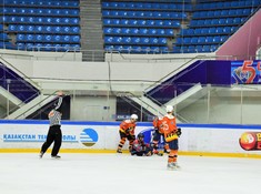 «Tigers» - «Hockey Man» 1:3. Сезон АЛХЛ 2017-2018, 1/8 плей-офф