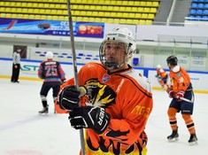 «Tigers» - «Hockey Man» 1:3. Сезон АЛХЛ 2017-2018, 1/8 плей-офф