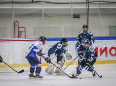 BI Hockey Team - Brigantina 3:1. Сезон АЛХЛ 2018-2019
