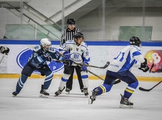 BI Hockey Team - Brigantina 3:1. Сезон АЛХЛ 2018-2019