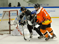 «Kings» - «Tigers» 3:0. Сезон 2016-2017