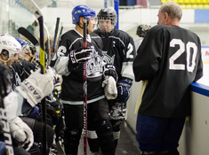 «Kings» - «Tigers» 3:0. Сезон 2016-2017