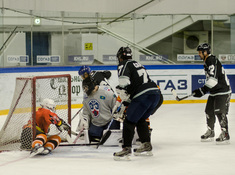 «Kings» - «Tigers» 3:0. Сезон 2016-2017