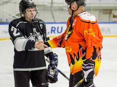 «Kings» - «Tigers» 3:0. Сезон 2016-2017