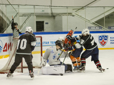 «Kings» - «Tigers» 3:0. Сезон 2016-2017