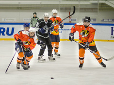 «Kings» - «Tigers» 3:0. Сезон 2016-2017