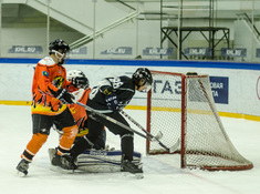 «Kings» - «Tigers» 3:0. Сезон 2016-2017