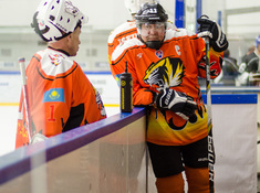 «Kings» - «Tigers» 3:0. Сезон 2016-2017