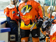 «Kings» - «Tigers» 3:0. Сезон 2016-2017