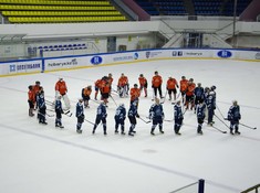 Предложение руки и сердца на льду 2018