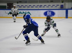 BI hockey team - БЕСТОБЕ. 12-й тур АЛХЛ 2018-2019