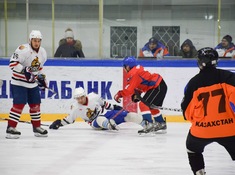НИВА - PATRIOT. 12-й тур АЛХЛ 2018-2019