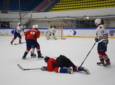НИВА - PATRIOT. 12-й тур АЛХЛ 2018-2019