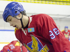 КАЛКАН - SPARTA. 14-Й ТУР АЛХЛ 2018-2019