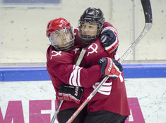 СССР - BI HOCKEY TEAM. 1\2 ФИНАЛА (МАЛЫЙ КУБОК) 2018-2019
