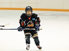 Турнир «Alau Cup» в формате Cross Ice Hockey 10 апреля 2019. Фото: ppz.kz