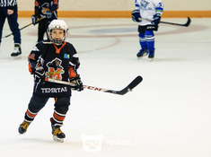 Турнир «Alau Cup» в формате Cross Ice Hockey 10 апреля 2019. Фото: ppz.kz