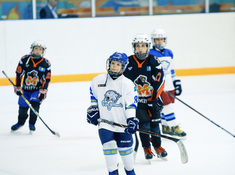 Турнир «Alau Cup» в формате Cross Ice Hockey 10 апреля 2019. Фото: ppz.kz