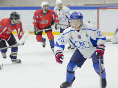 НИВА - BI HOCKEY TEAM. МАЛЫЙ КУБОК. 2018-2019