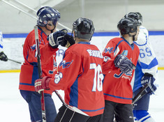 НИВА - BI HOCKEY TEAM. МАЛЫЙ КУБОК. 2018-2019