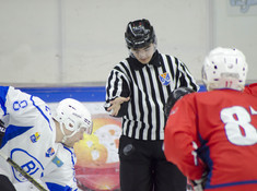 НИВА - BI HOCKEY TEAM. МАЛЫЙ КУБОК. 2018-2019