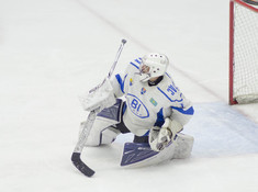 НИВА - BI HOCKEY TEAM. МАЛЫЙ КУБОК. 2018-2019