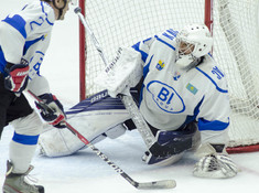 НИВА - BI HOCKEY TEAM. МАЛЫЙ КУБОК. 2018-2019