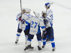 НИВА - BI HOCKEY TEAM. МАЛЫЙ КУБОК. 2018-2019
