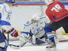 НИВА - BI HOCKEY TEAM. МАЛЫЙ КУБОК. 2018-2019