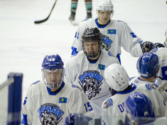 BARYS FANS - TUMEN. 17-Й ТУР АЛХЛ. 2019-2020