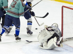 BARYS FANS - TUMEN. 17-Й ТУР АЛХЛ. 2019-2020