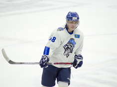 BARYS FANS - TUMEN. 17-Й ТУР АЛХЛ. 2019-2020