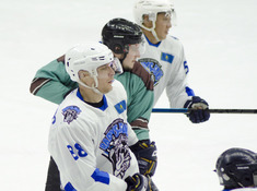 BARYS FANS - TUMEN. 17-Й ТУР АЛХЛ. 2019-2020