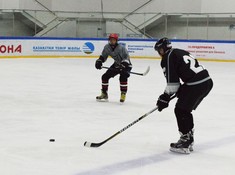 «Волки»- «Kings» 3:1. Сезон АЛХЛ 2016-2017
