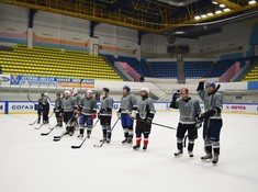«Волки»- «Kings» 3:1. Сезон АЛХЛ 2016-2017